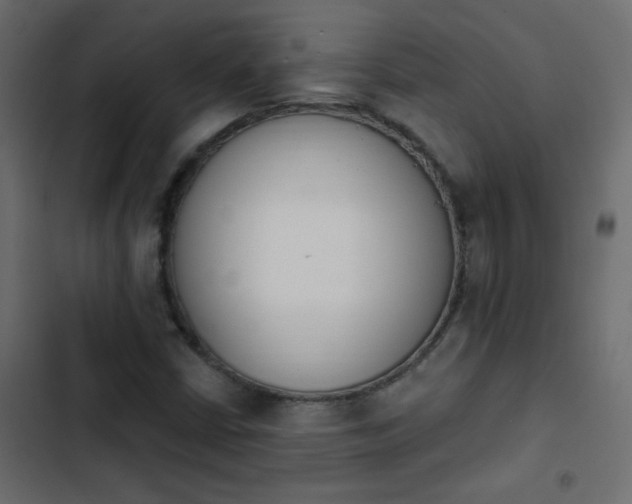 X0000103931402200809261653