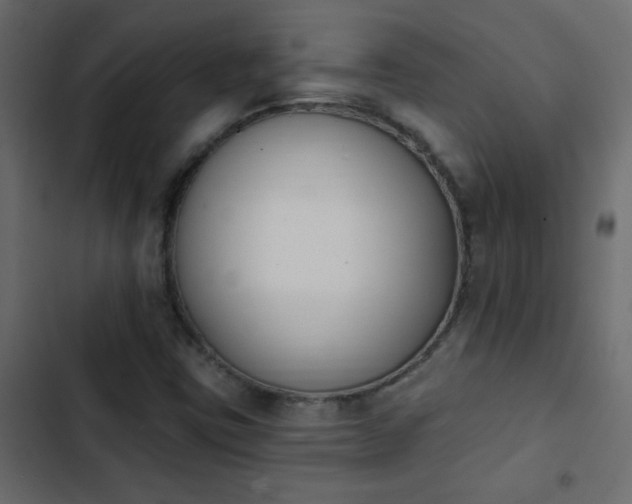 X0000103931403200809261653