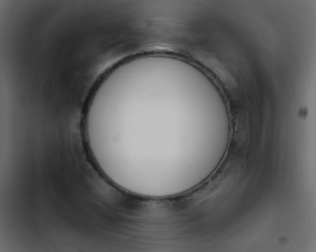 X0000103931404200809261653