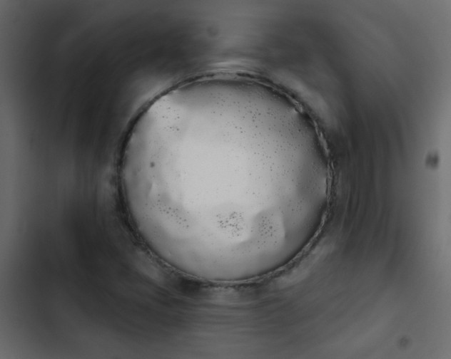X0000103931405200809261653