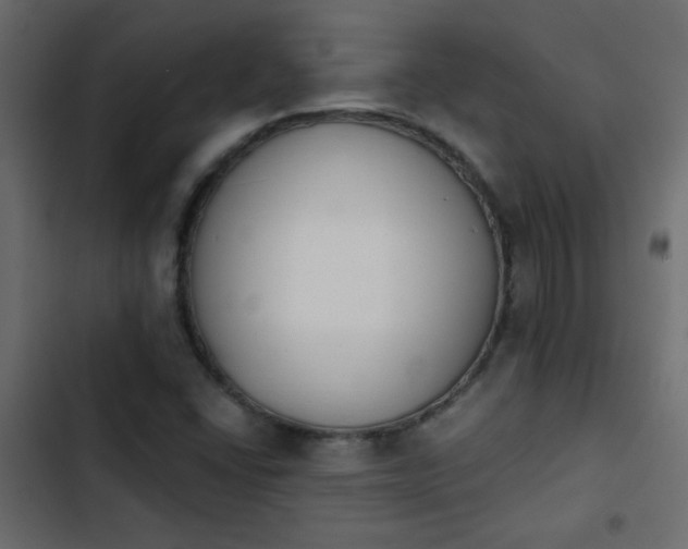 X0000103931406200809261653