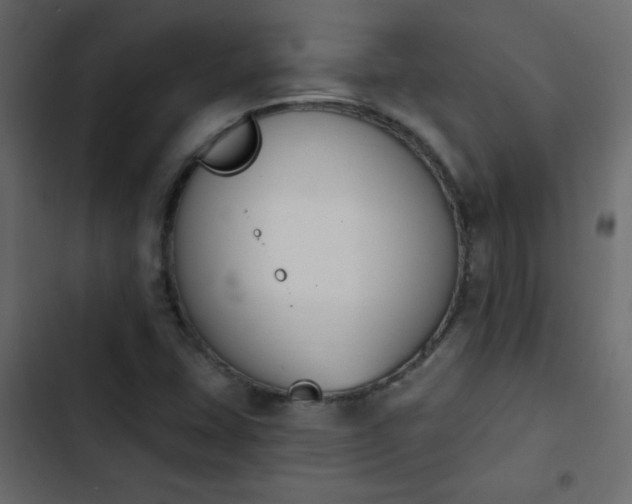 X0000103931407200809261653