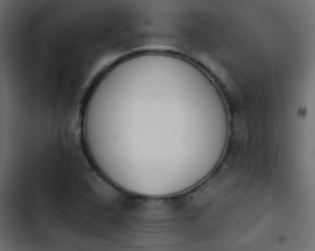 X0000103931408200809261653