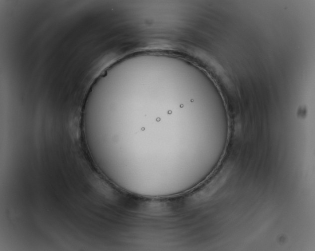 X0000103931409200809261653