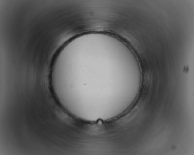 X0000103931410200809261653