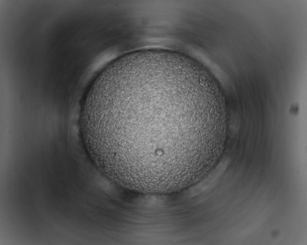 X0000103931411200809261653