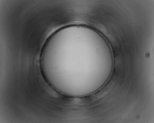 X0000103931412200809261653
