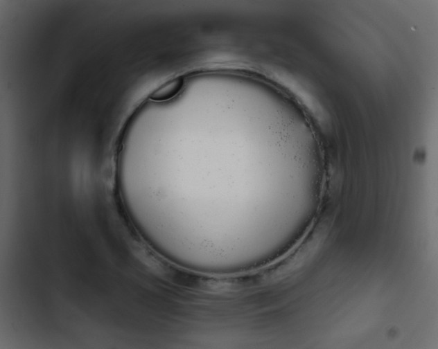 X0000103931413200809261653