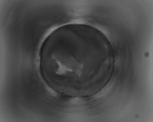 X0000103931414200809261653