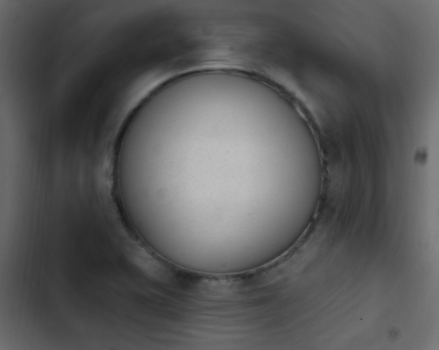 X0000103931415200809261653