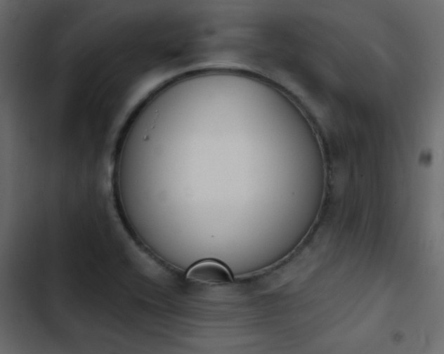X0000103931416200809261653