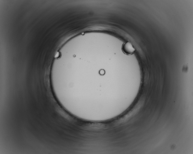 X0000103931417200809261653