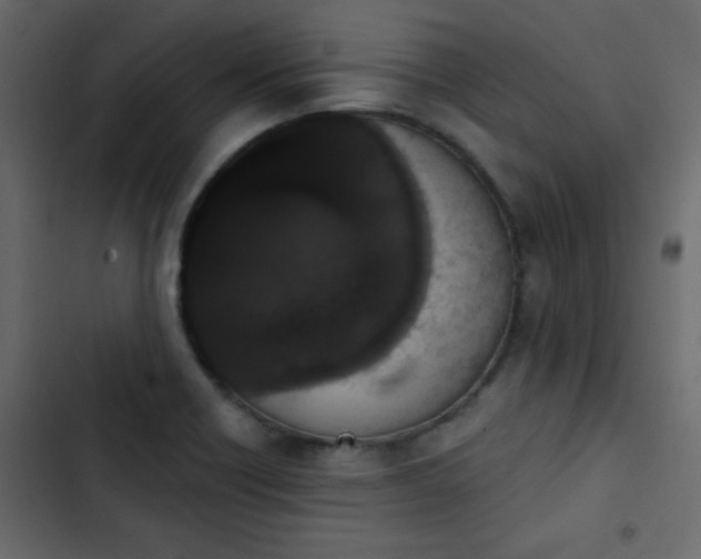 X0000103931418200809261653