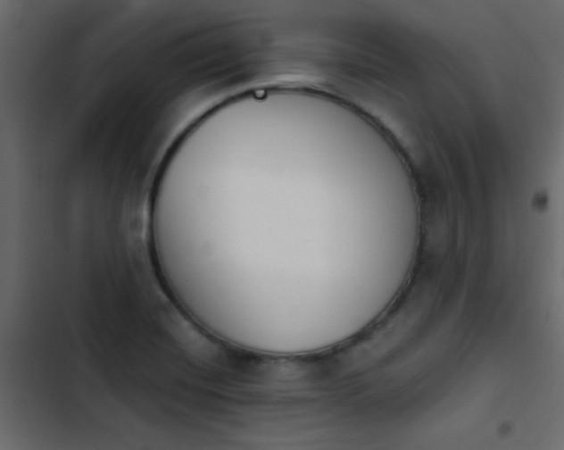 X0000103931420200809261653