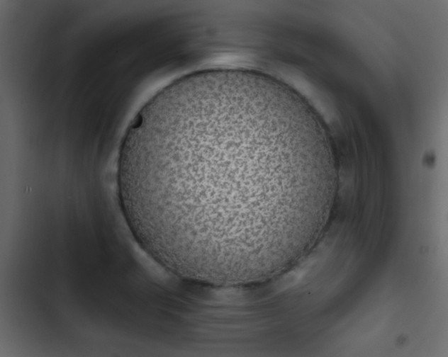 X0000103931421200809261653
