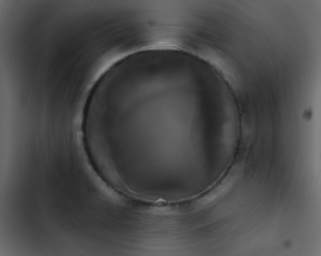 X0000103931422200809261653