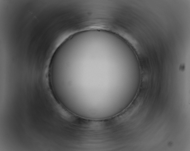 X0000103931423200809261653
