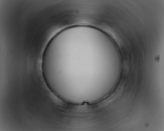 X0000103931424200809261653