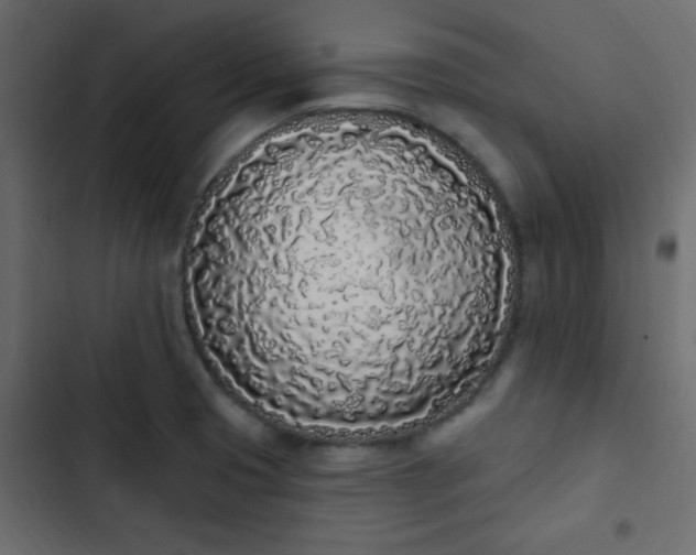 X0000103931425200809261653