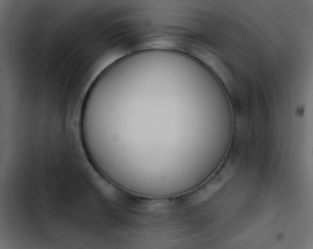 X0000103931426200809261653