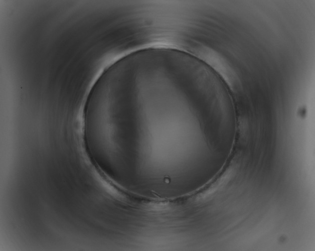 X0000103931428200809261653
