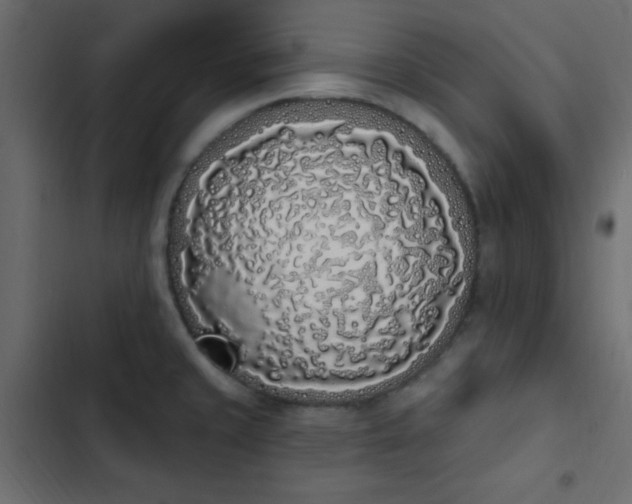 X0000103931429200809261653