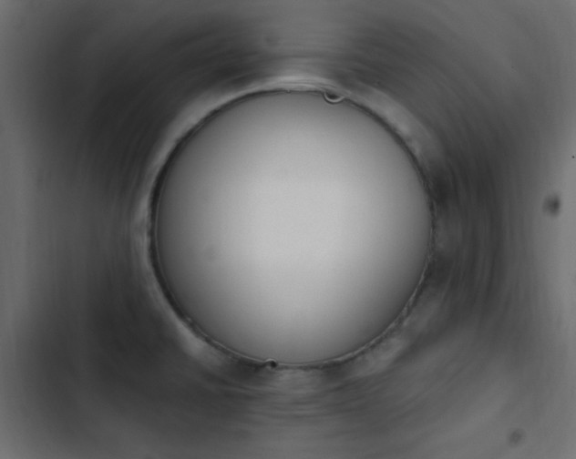 X0000103931430200809261653