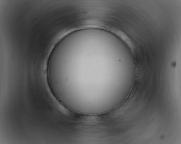 X0000103931431200809261653