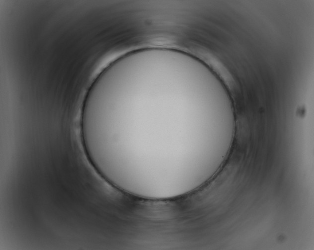 X0000103931432200809261653