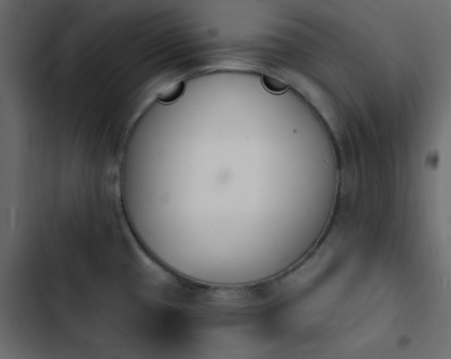 X0000103931433200809261653