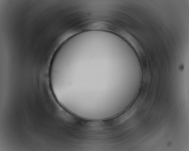 X0000103931434200809261653