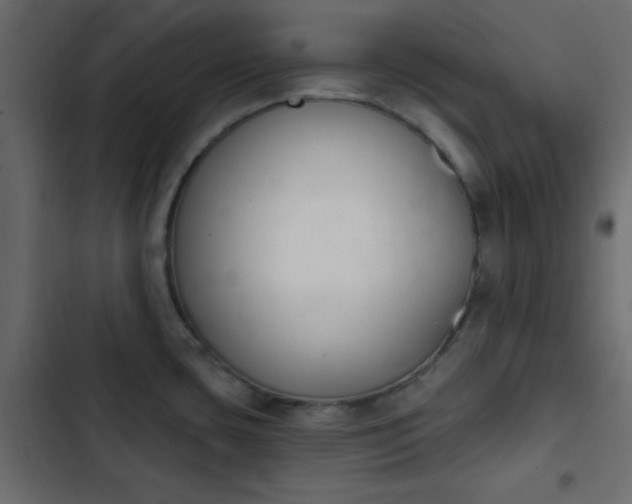X0000103931435200809261653