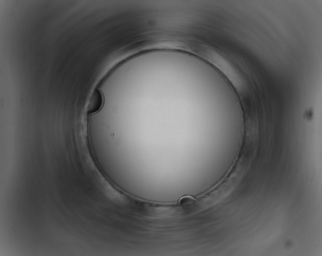 X0000103931436200809261653