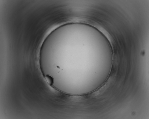 X0000103931437200809261653