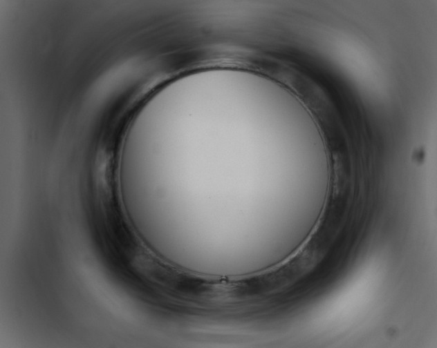 X0000103931438200809261653