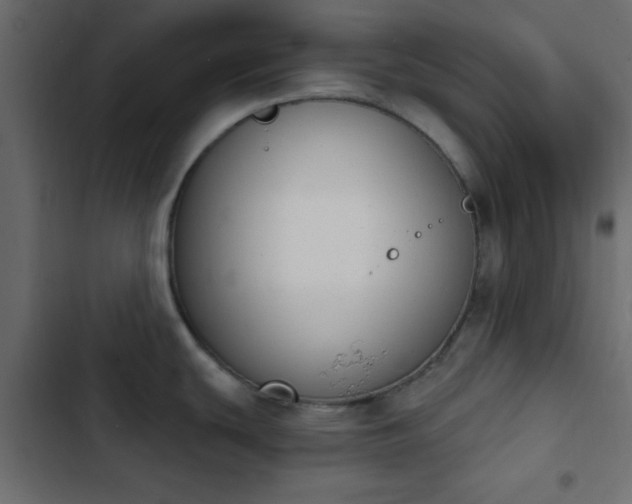 X0000103931439200809261653
