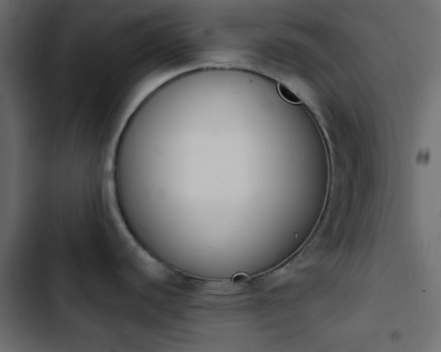 X0000103931440200809261653