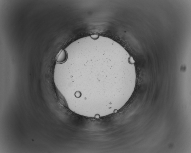 X0000103931441200809261653