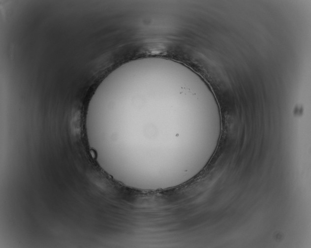 X0000103931442200809261653