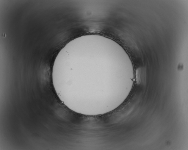 X0000103931443200809261653