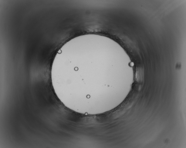 X0000103931444200809261653