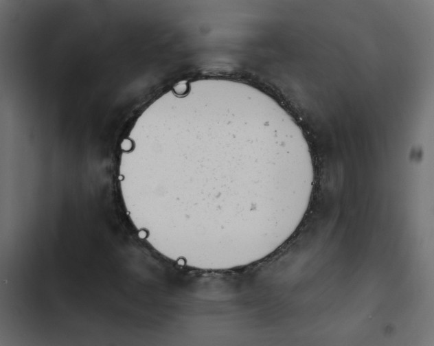 X0000103931445200809261653