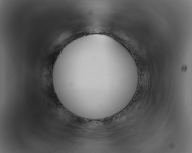 X0000103931446200809261653