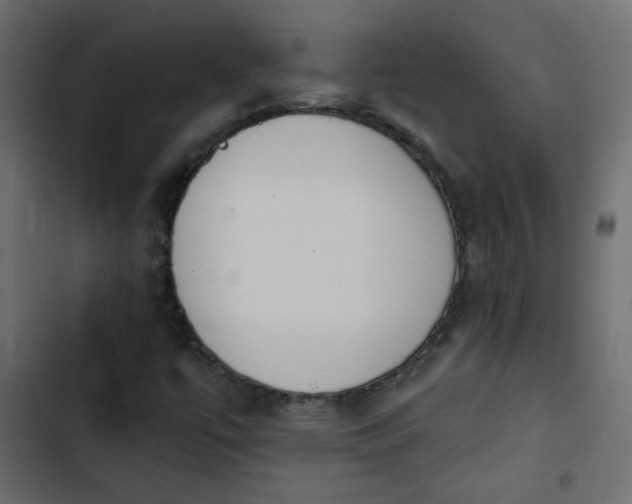 X0000103931447200809261653
