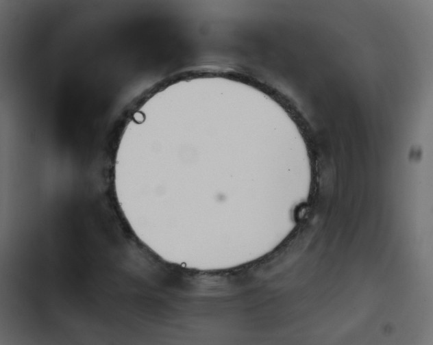 X0000103931448200809261653