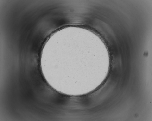 X0000103931449200809261653