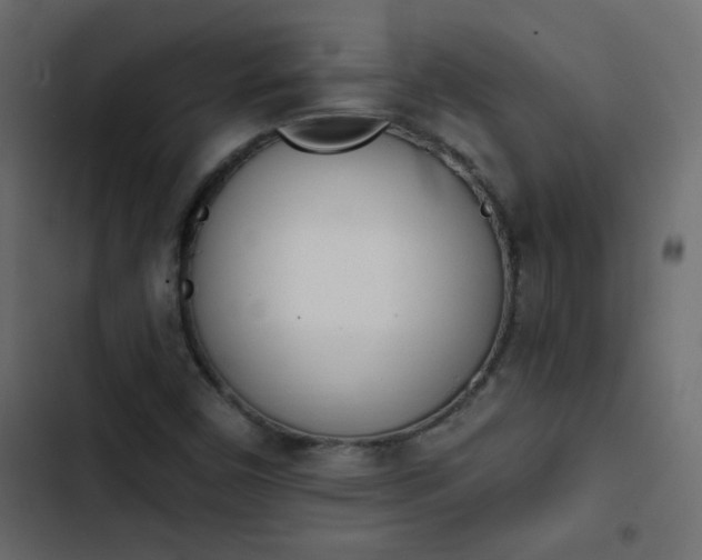 X0000103931450200809261653