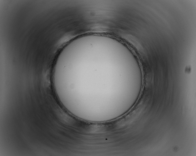 X0000103931451200809261653