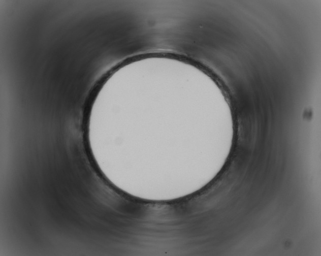 X0000103931452200809261653