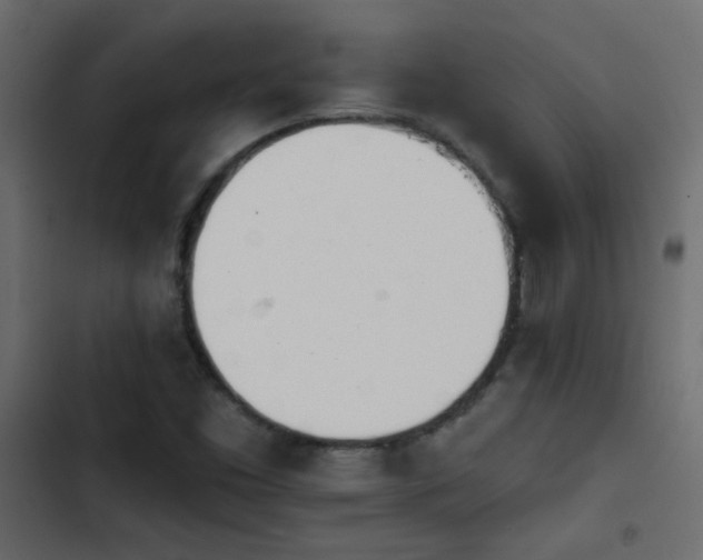 X0000103931453200809261653